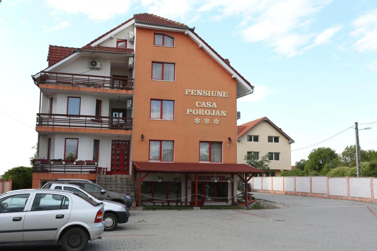 Pensiunea Casa Porojan 拜勒乌努麦 外观 照片